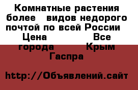 Комнатные растения более200видов недорого почтой по всей России › Цена ­ 100-500 - Все города  »    . Крым,Гаспра